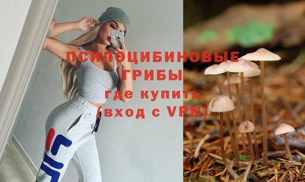 прущая мука Алзамай