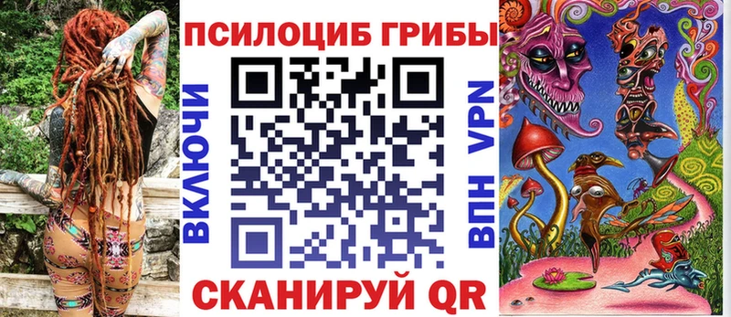 Псилоцибиновые грибы Magic Shrooms  цены   Долгопрудный 